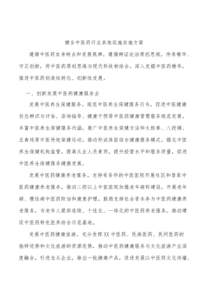 健全中医药行业其他设施实施方案.docx
