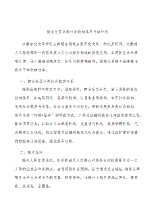 健全分层分类社会救助体系行动计划.docx
