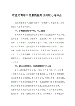 市监局青年干部素质提升培训班心得体会.docx