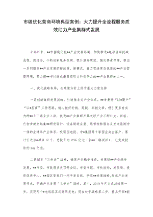 市级优化营商环境典型案例：大力提升全流程服务质效 助力产业集群式发展.docx