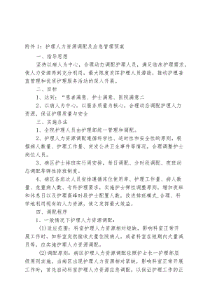 护理人力资源调配及应急管理预案与相关职责.docx