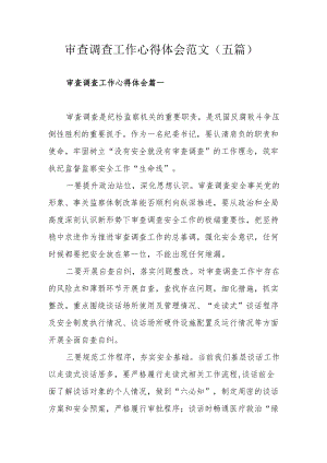 审查调查工作心得体会范文（五篇）.docx