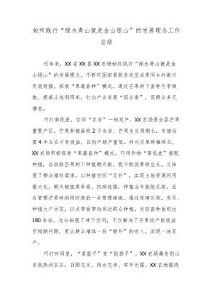 始终践行“绿水青山就是金山银山”的发展理念工作总结.docx