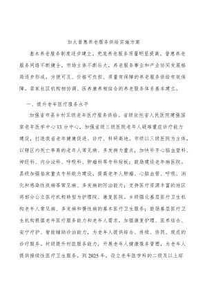 加大普惠养老服务供给实施方案.docx