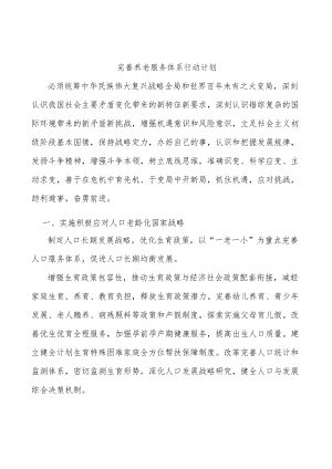 完善养老服务体系行动计划.docx
