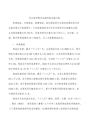 优化城市配送设施网络实施方案.docx