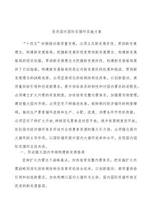 促进国内国际双循环实施方案.docx