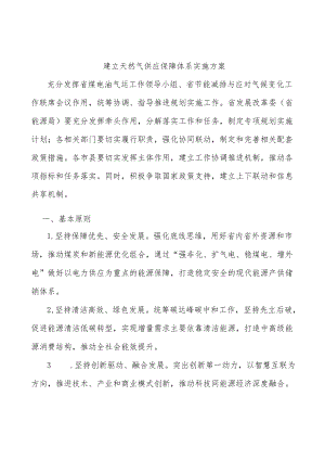 建立天然气供应保障体系实施方案.docx