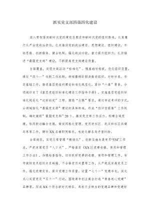 抓实党支部四强四化建设.docx