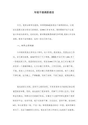 轻干部离职感言.docx