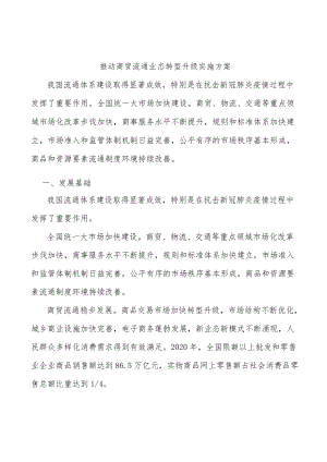 推动商贸流通业态转型升级实施方案.docx