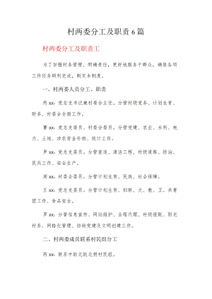 村两委分工及职责6篇.docx