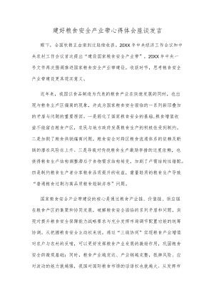 建好粮食安全产业带心得体会座谈发言.docx