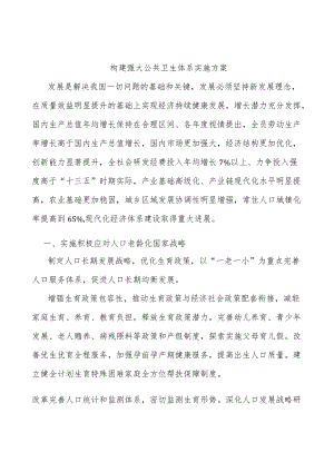 构建强大公共卫生体系实施方案(1).docx