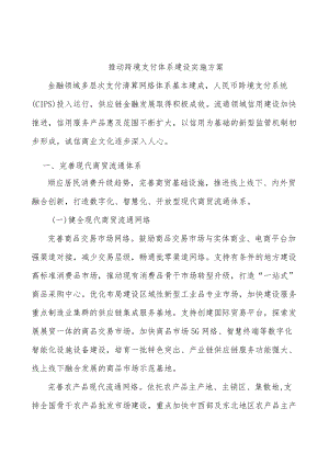 推动跨境支付体系建设实施方案.docx