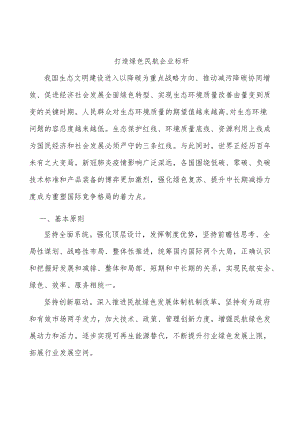 打造绿色民航企业标杆.docx