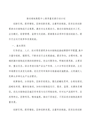 推动销地集配中心高质量发展行动计划.docx