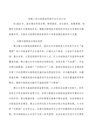 构建三级冷链物流网络节点行动计划.docx