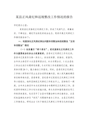 某县正风肃纪和巡视整改工作情况的报告.docx