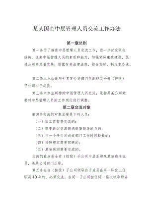 某某国企中层管理人员交流工作办法.docx
