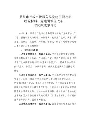 某某市行政审批服务局党建引领改革经验材料：党建引领促改革双向赋能聚合力.docx