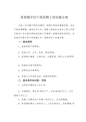 某某镇中层干部竞聘上岗实施方案.docx