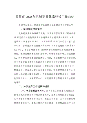 某某市2022年县域商业体系建设工作总结.docx