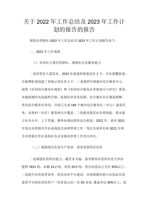 关于2022年工作总结及2023年工作计划 的报告的报告.docx
