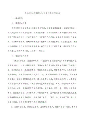 农业农村水利2022年乡村振兴帮扶工作总结.docx