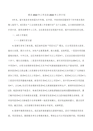 商务2022年工作总结2022年工作计划.docx