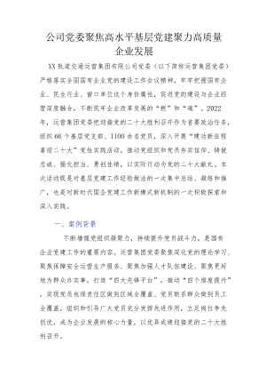 公司党委聚焦高水平基层党建 聚力高质量企业发展.docx
