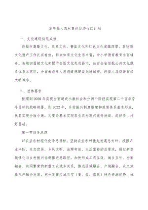 发展壮大农村集体经济行动计划.docx