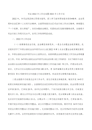 司法2022年工作总结暨2023年工作计划.docx
