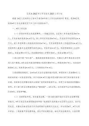 区民政2022年工作总结及2023工作计划.docx