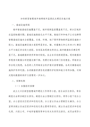 加快新型智慧城市海绵城市监测试点建设实施方案.docx
