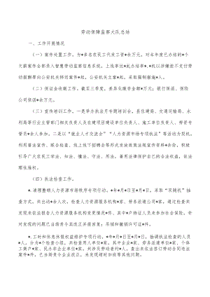 劳动保障监察大队总结.docx