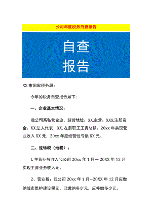 公司年度税务自查报告.docx
