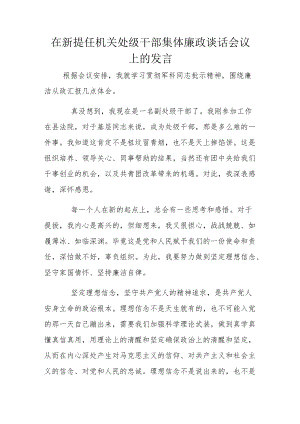 在新提任机关处级干部集体廉政谈话会议上的发言.docx
