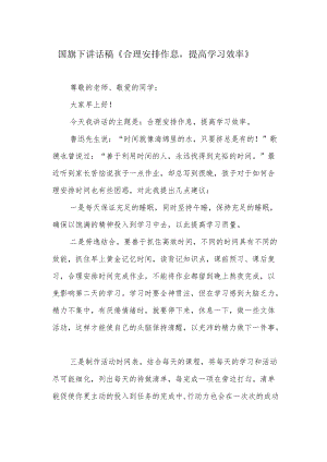 国旗下讲话稿《合理安排作息提高学习效率》.docx