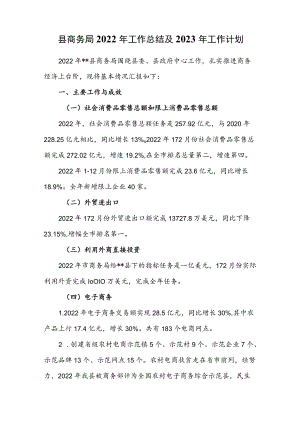 县商务局2022年工作总结及2023年工作计划.docx