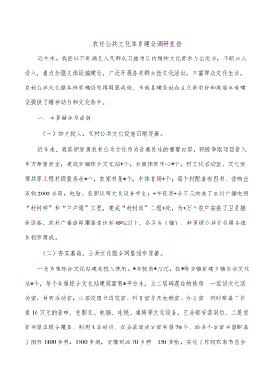 农村公共文化体系建设调研报告.docx