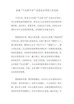 实施“千企联千村”攻坚试点项目工作总结.docx