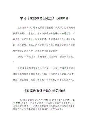 小学老师学习家庭教育促进法心得体会四篇.docx