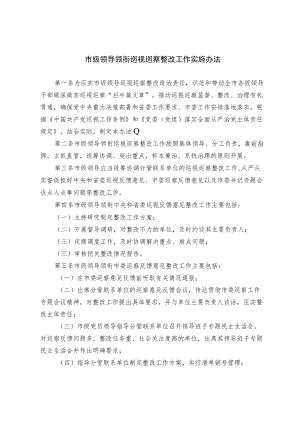 市级领导领衔巡视巡察整改工作实施办法（试行）.docx