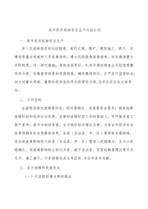 抓牢抓实抓细安全生产行动计划.docx