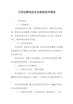 工作经费项目支出绩效自评报告.docx