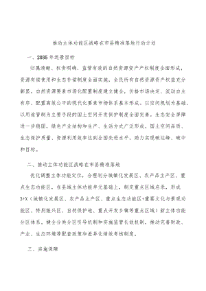 推动主体功能区战略在市县精准落地行动计划.docx