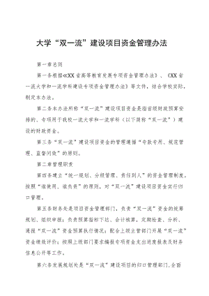 大学“双一流”建设项目资金管理办法.docx