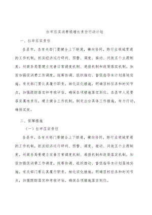 扛牢压实消费稳增长责任行动计划.docx