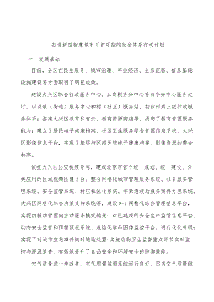 打造新型智慧城市可管可控的安全体系行动计划.docx